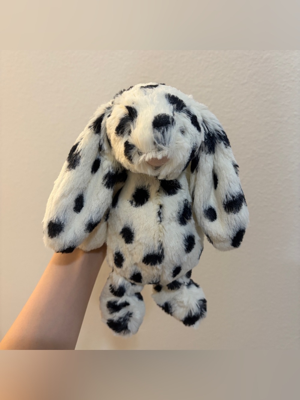 Jellycat Bashful Bunny Phoebe - NWOT